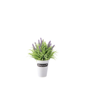 STAR VASO C/LAVANDA D15XH22