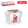 PLASTICFORTE SET 3 CONTENITORI 250ML