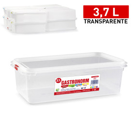 PLASTICFORTE CONTEN FROST N°6 3,7LT RETT