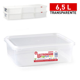 PLASTICFORTE CONTEN FROST N°7 6,5LT