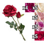 VEA ROSA 2 STELI 47CM 5ASS LUS60061