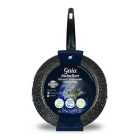 GMD GAIA PADELLA CM.20 INDUZIONE